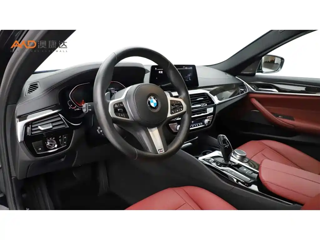 BMW 5 Series 2020 530Li Exclusive M Sport Package фото 6