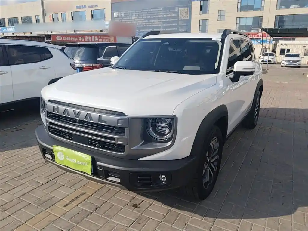 Haval Big Dog 2024 1.5T DCT Border Collie Edition