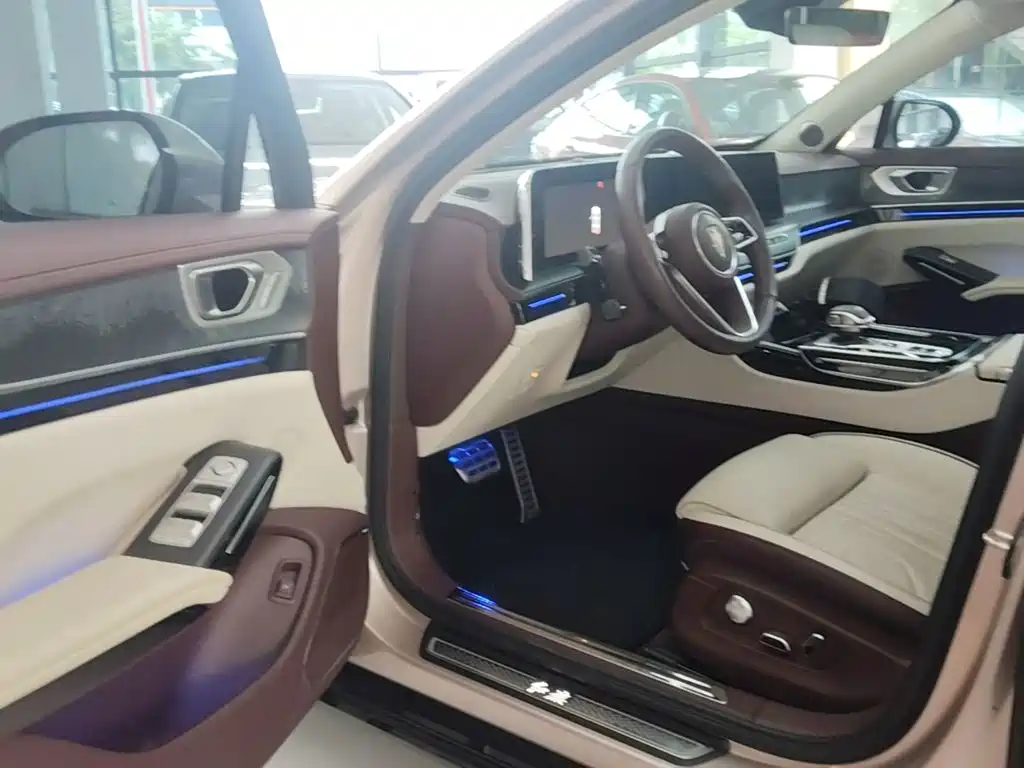 Photo 16 - Hongqi H9