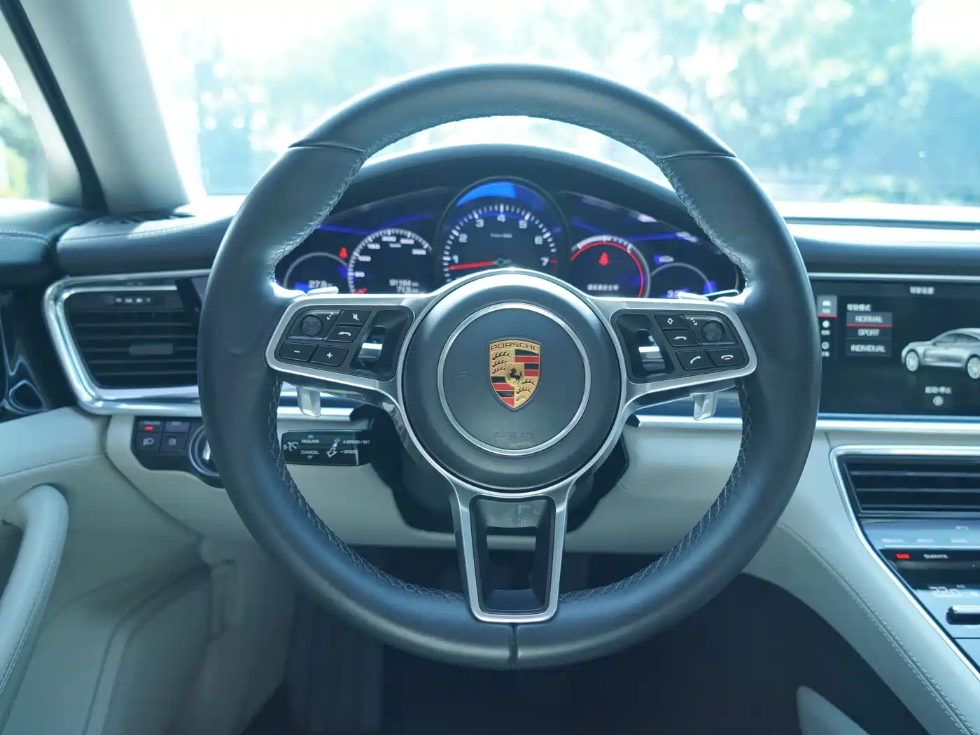 Porsche Panamera 2019 Panamera 2.9T фото 14