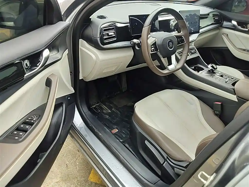 BYD Qin PLUS 2023 Champion Edition DM-i 55KM Leading фото 16