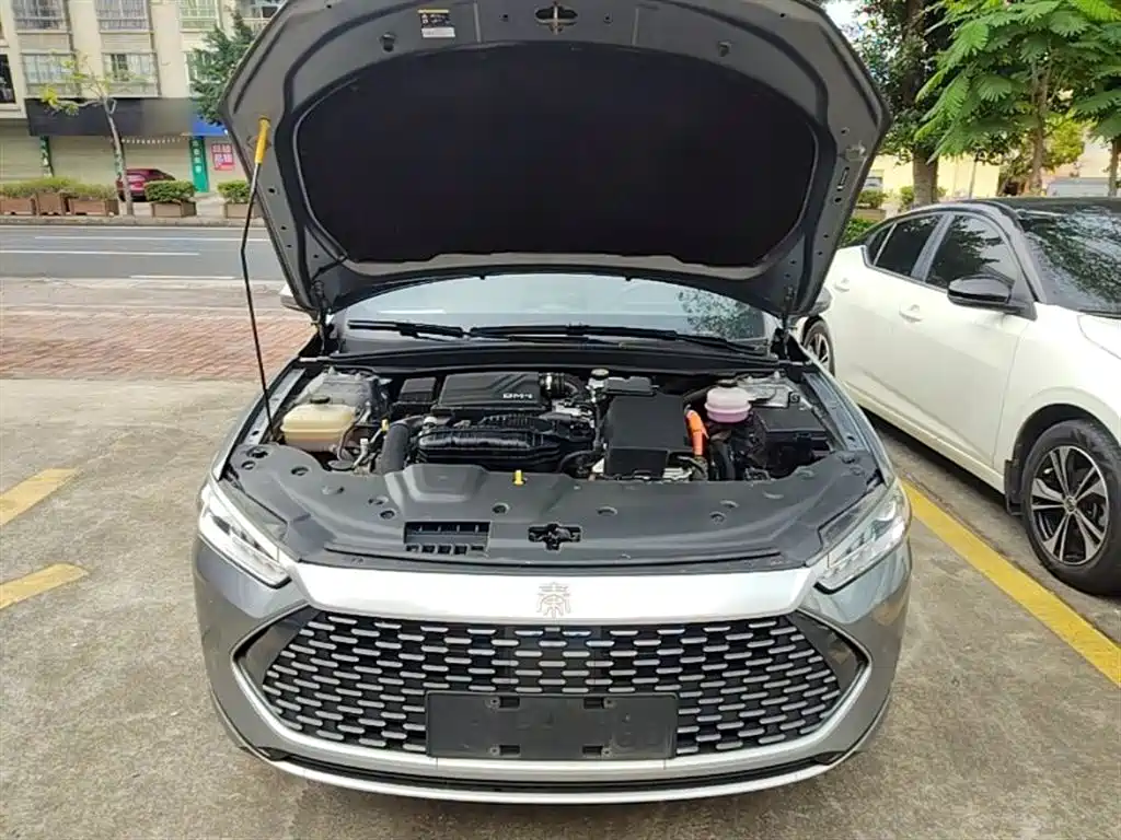 BYD Qin PLUS 2023 Champion Edition DM-i 55KM Leading фото 20