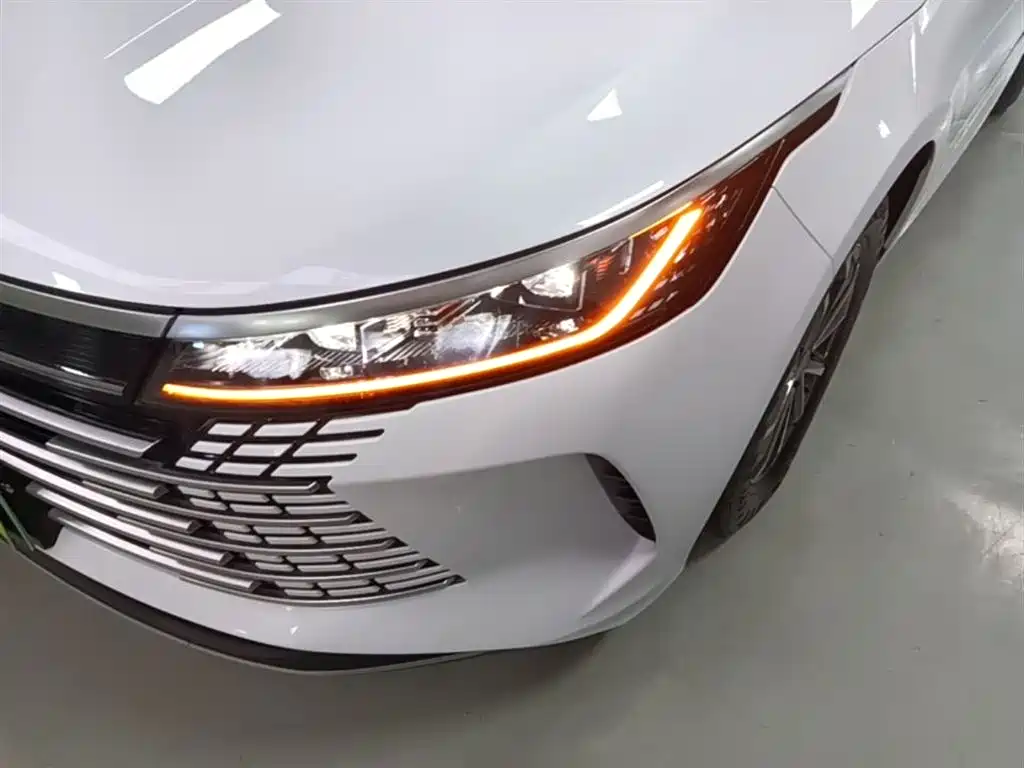 BYD Destroyer 05 2024 Glory Edition DM-i 55KM Luxury фото 15