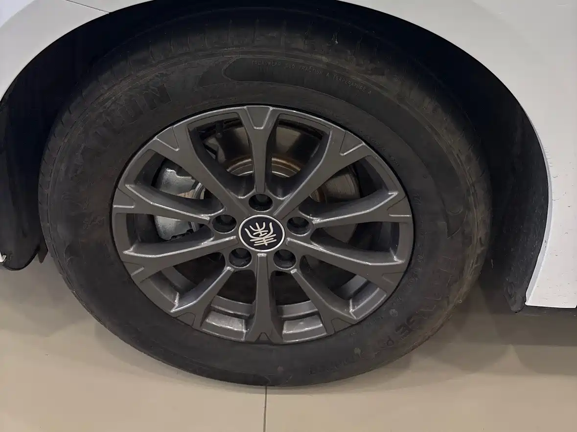 BYD Qin L 2024 DM-i 80KM Leading Edition фото 7