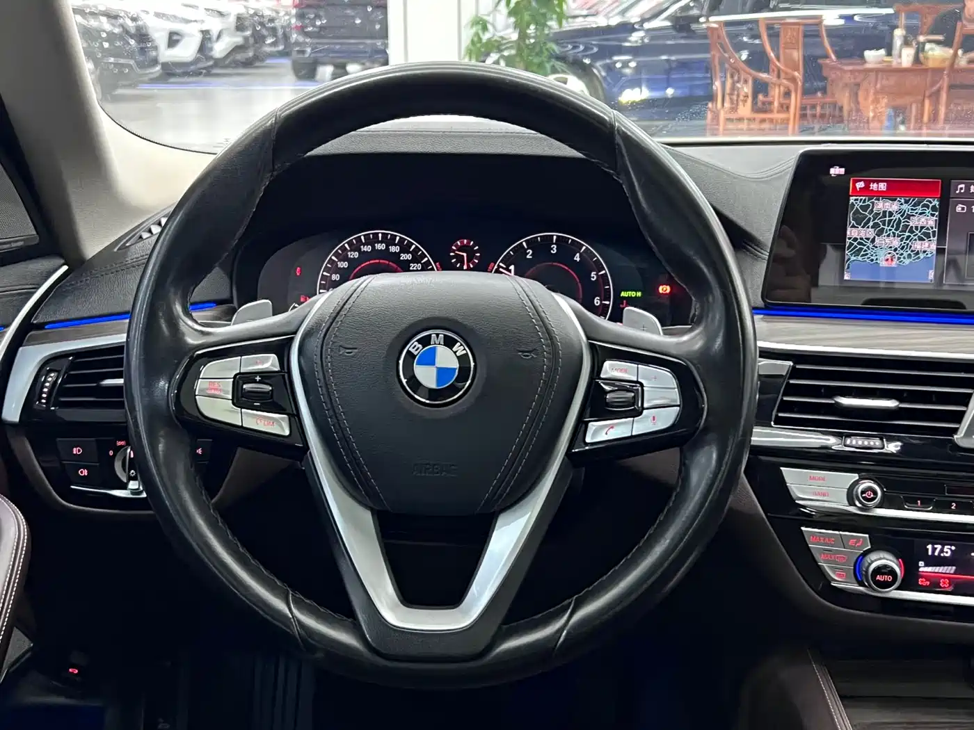 BMW 5 Series 2019 530Li Premium Luxury Package фото 15