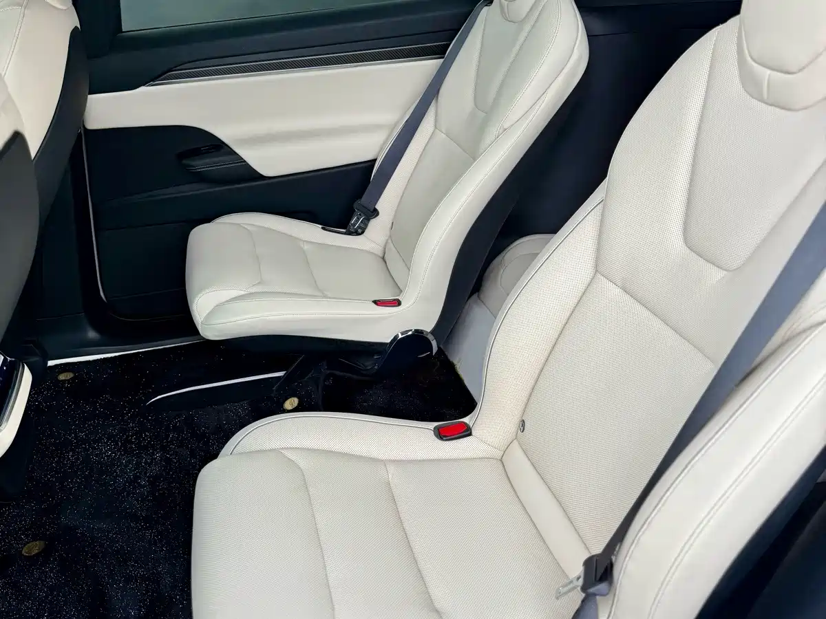 Photo 14 - Tesla Model X