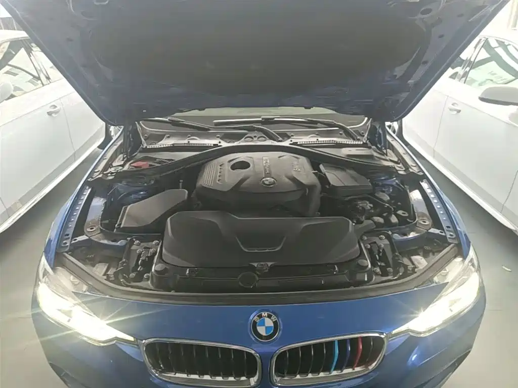 BMW 3 Series 2018 320Li Leading M Sport Package фото 20