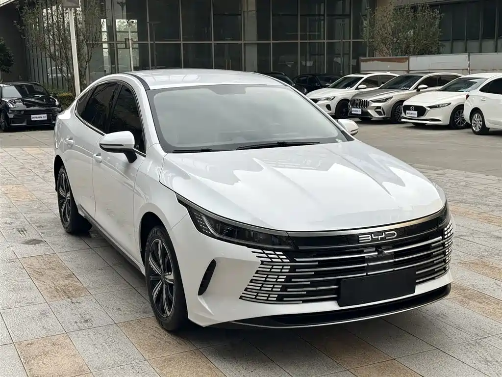 BYD Destroyer 05 2024 Glory Edition DM-i 120KM Luxury фото 4