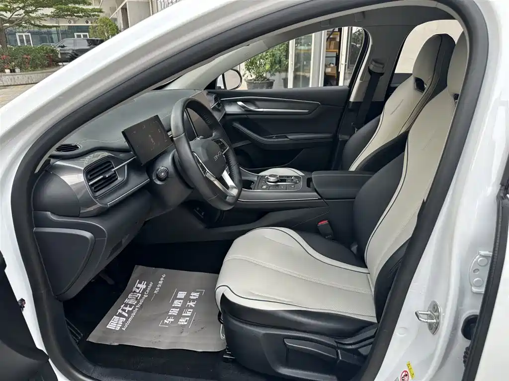 BYD Destroyer 05 2024 Glory Edition DM-i 120KM Luxury фото 12