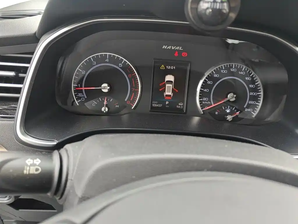 Haval H6 2019 1.5GDIT Automatic Champion Edition China VI фото 5