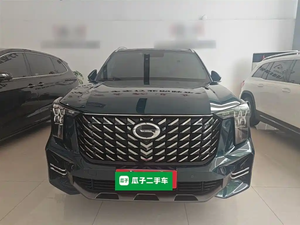 GAC Trumpchi Trumpchi GS8 2022 Pilot Series 2.0TGDI 2WD Premium Edition (6-Seater) фото 3