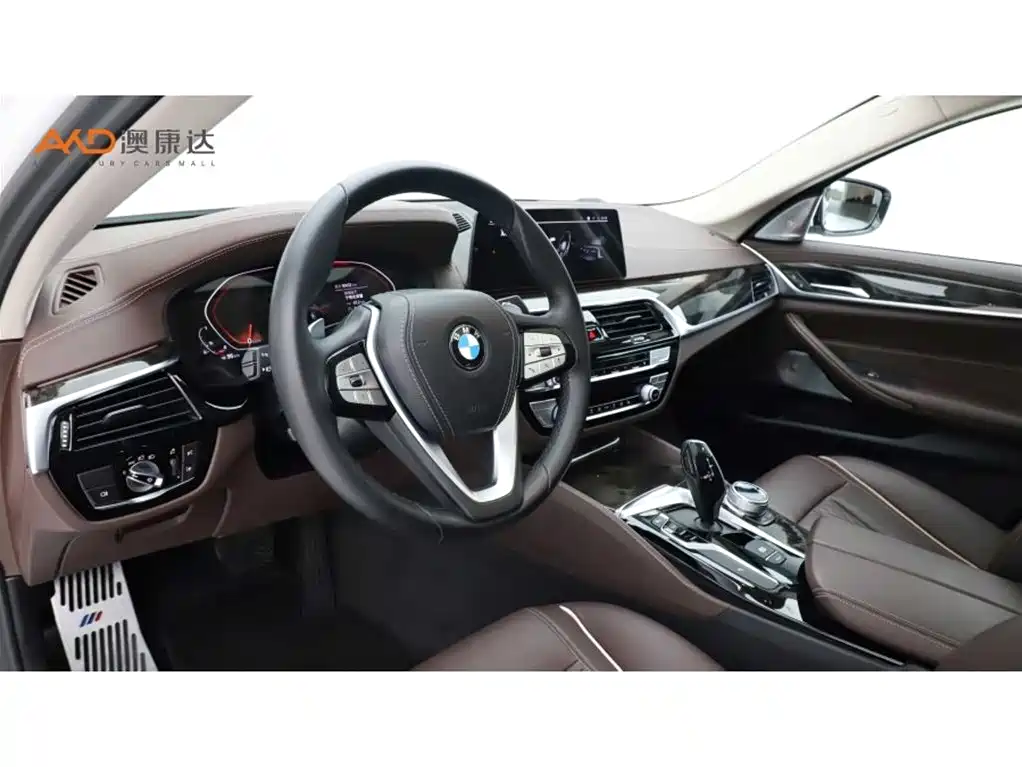BMW 5 Series 2020 530Li Leading Luxury Package фото 6