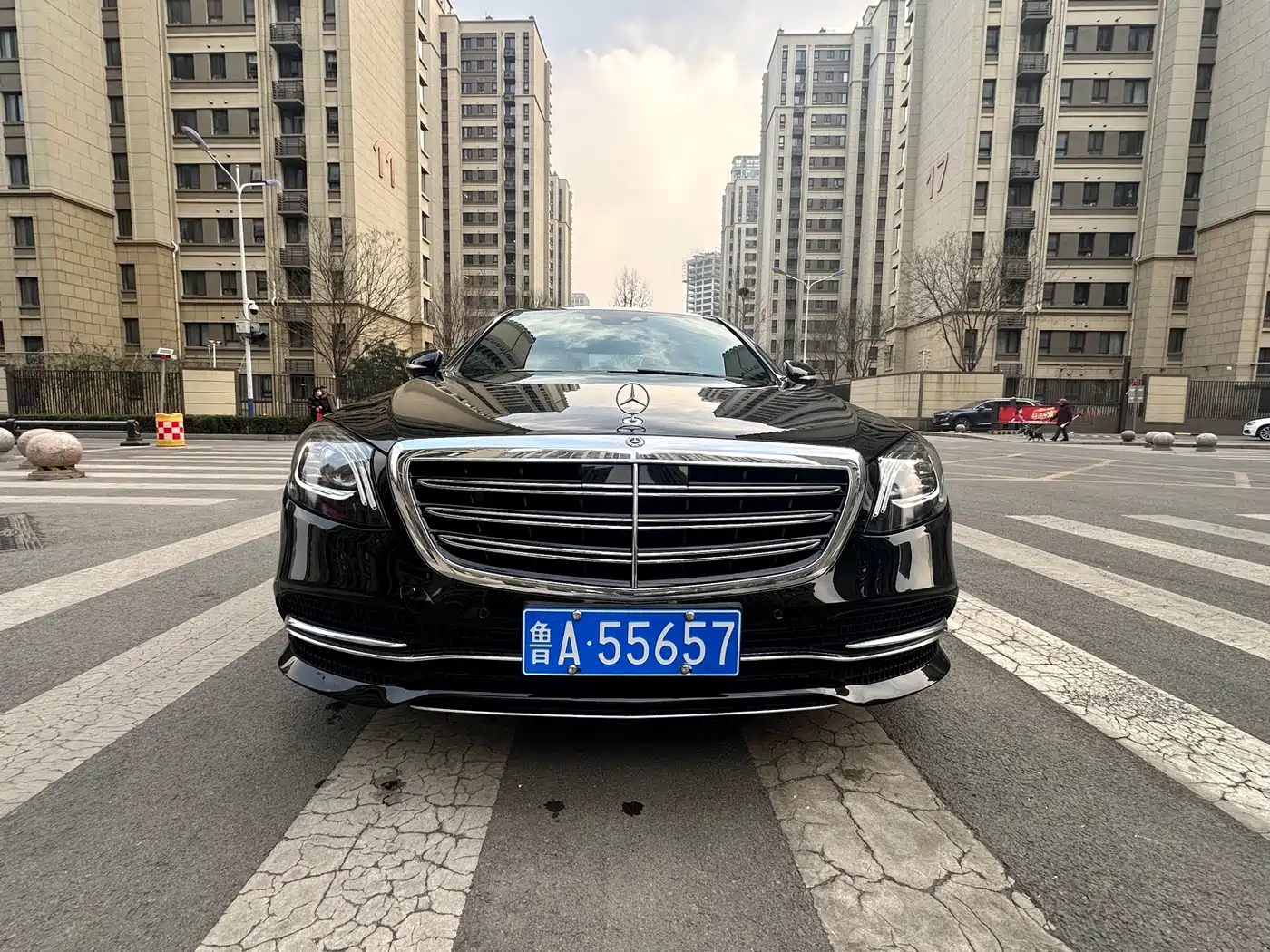 Mercedes-Benz S-Class 2020 S 350 L Premium Edition Collector's Version фото 2