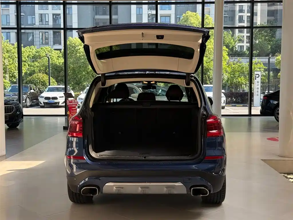 BMW X3 2019 xDrive25i Luxury Package фото 5