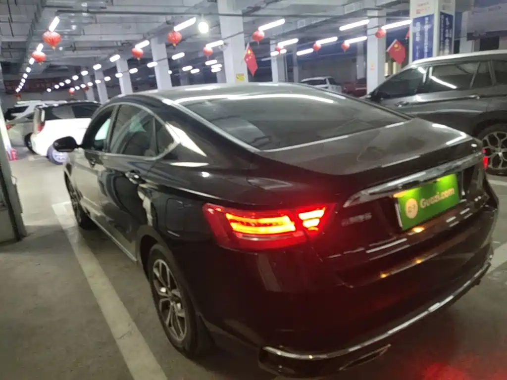 Фото 23 - Geely Borui