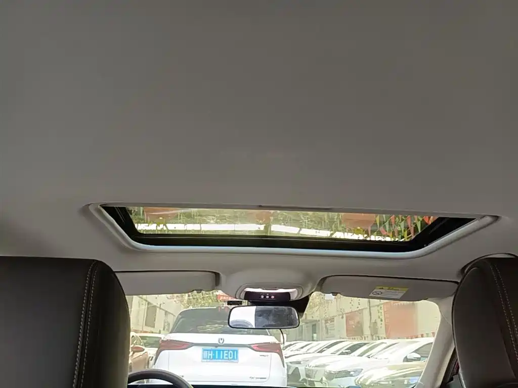 BUICK WEILANG
