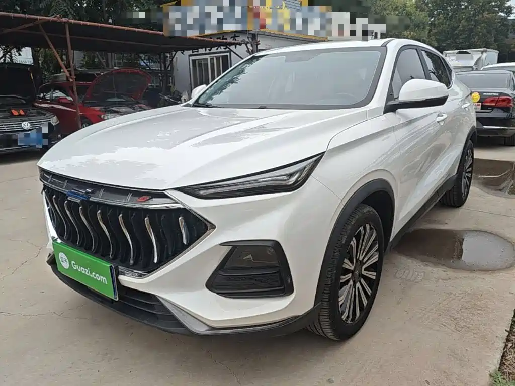 Фото 1 - Changan Oshan Changan Oushang X5