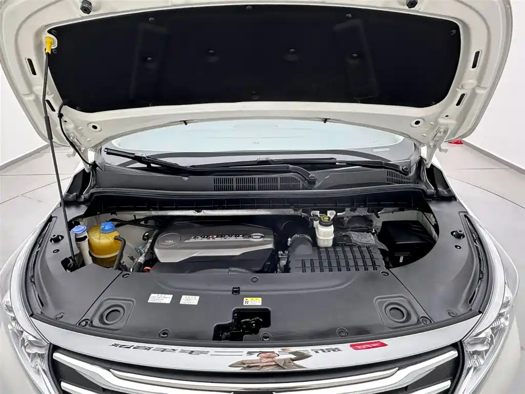 GAC Trumpchi Trumpchi M8 2018 320T Premium Edition фото 26