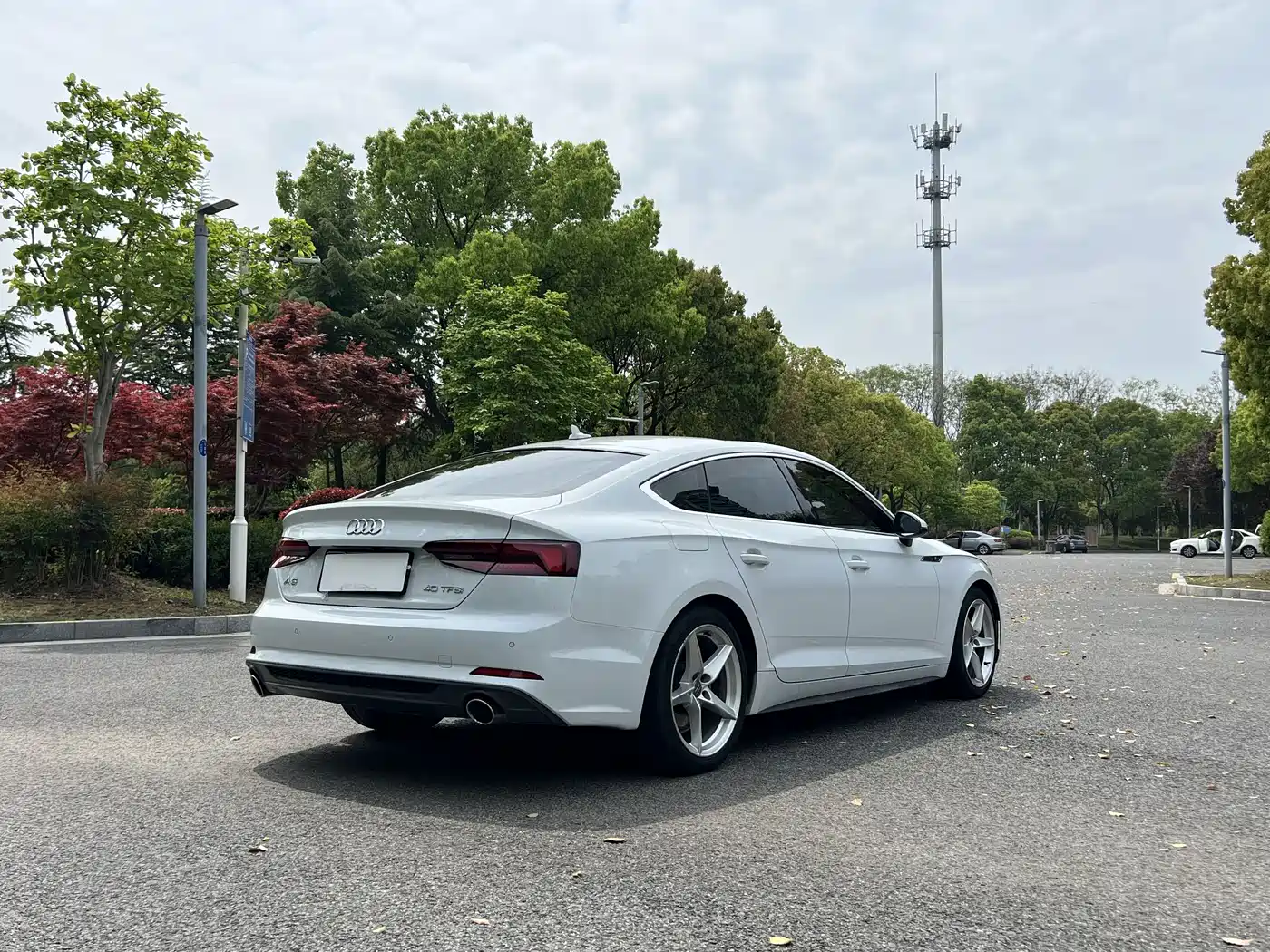 Audi A5 (Import) 2019 Sportback 40 TFSI Fashion фото 13