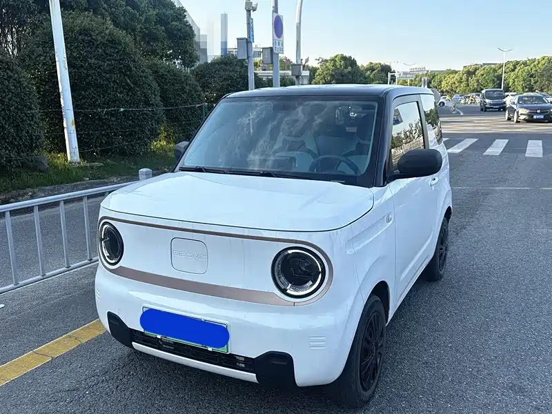 Geely Galaxy Panda 2023 Panda Mini 200km Endurance Bear