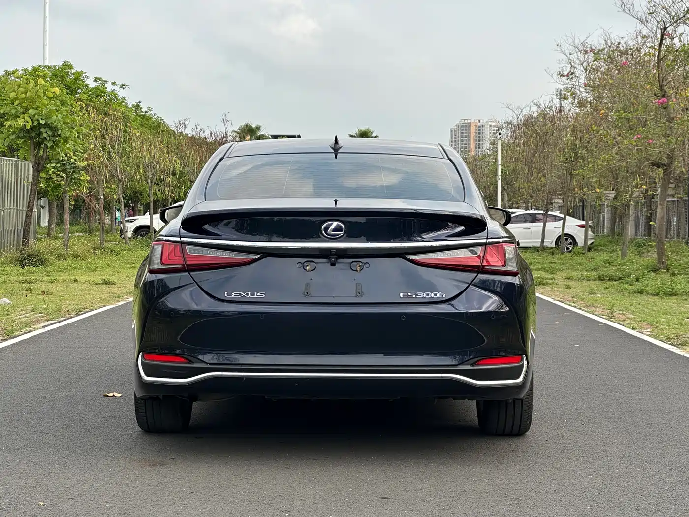 Lexus ES 2018 300h Excellence Edition China V фото 5
