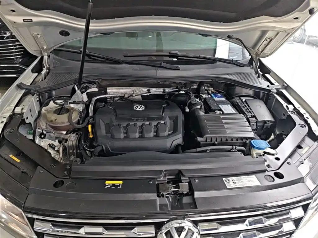 Volkswagen Tiguan L 2019 330TSI Auto 2WD Smart Luxury Edition China V фото 16