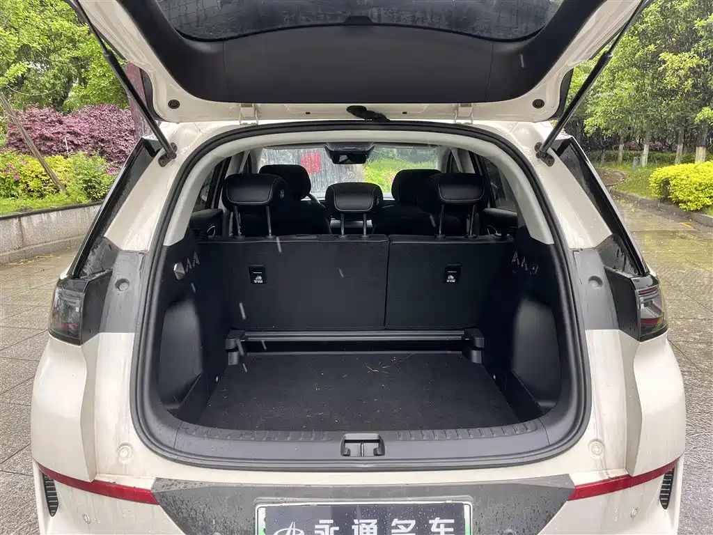 BYD Hai Shi 05 EV 2025 520KM Smart Navigation Edition фото 13