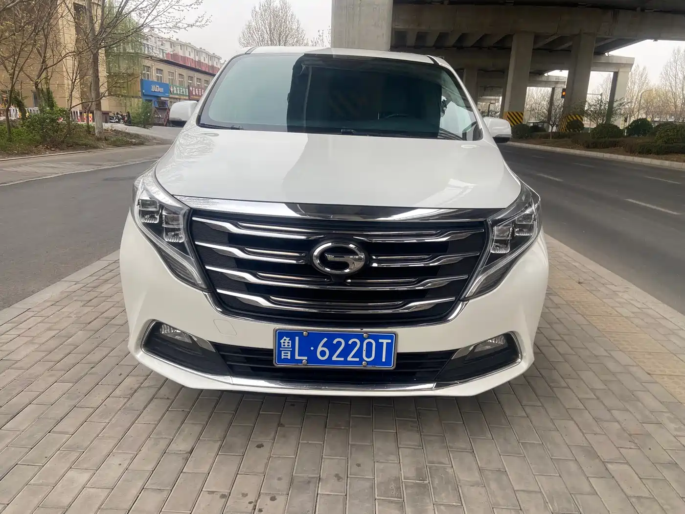 GAC Trumpchi Trumpchi M8 2018 320T Luxury Edition фото 5