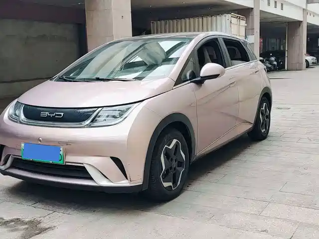 BYD DOLPHIN