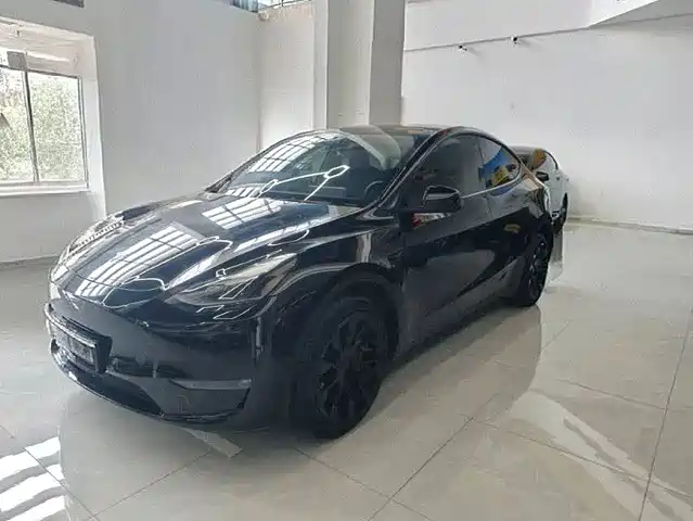 Tesla Model Y 2022 Rear-Wheel Drive Version