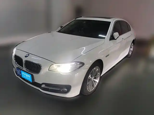 BMW 5 Series 2014 528Li Leading Edition — фото 1
