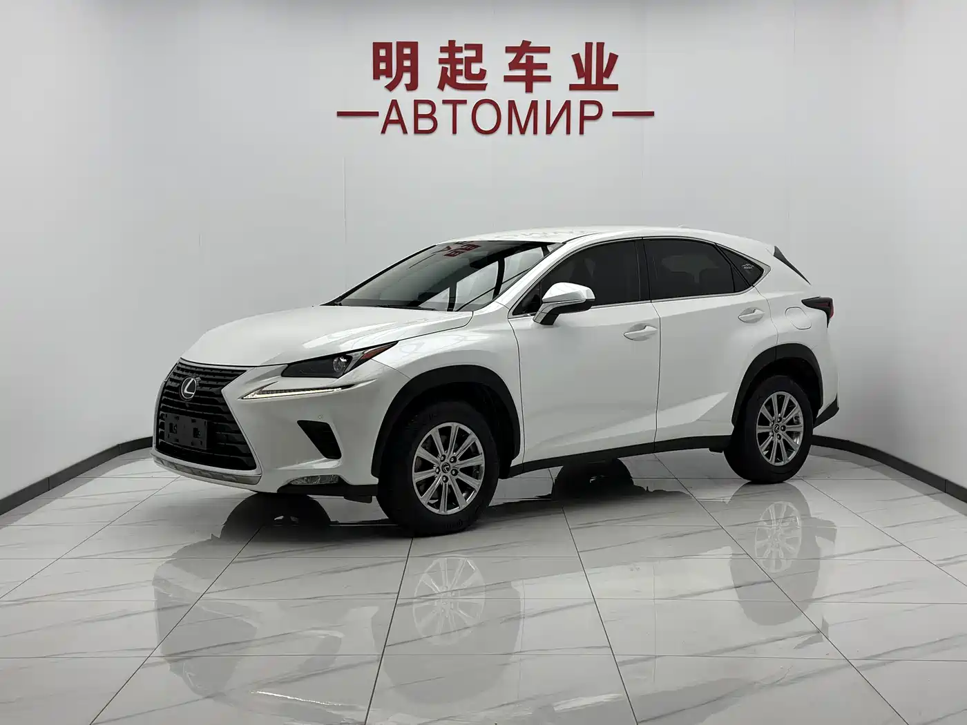 Lexus NX 2020 200 FWD Fengyi Edition China VI