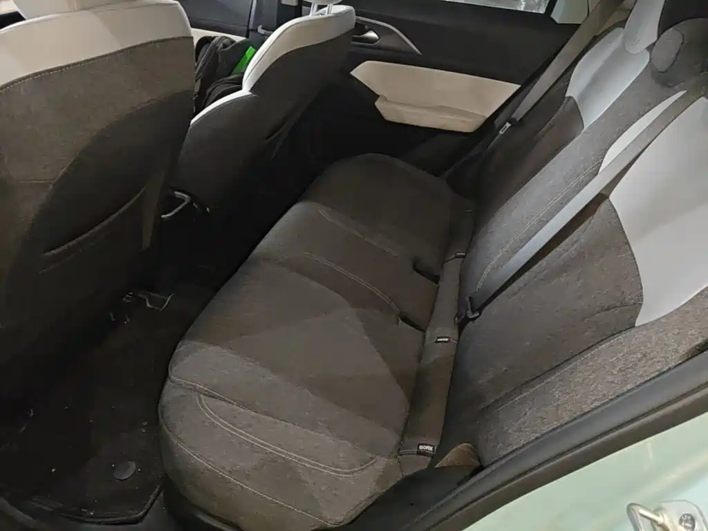 Geely Geometry E Firefly 2024 2024 301km Soaring Dragon Edition