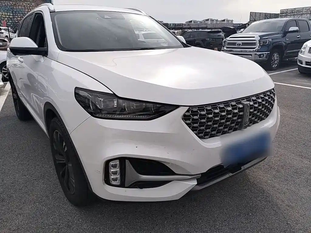 WEY VV6 2021 2021 2.0T 2WD Smart Protection+