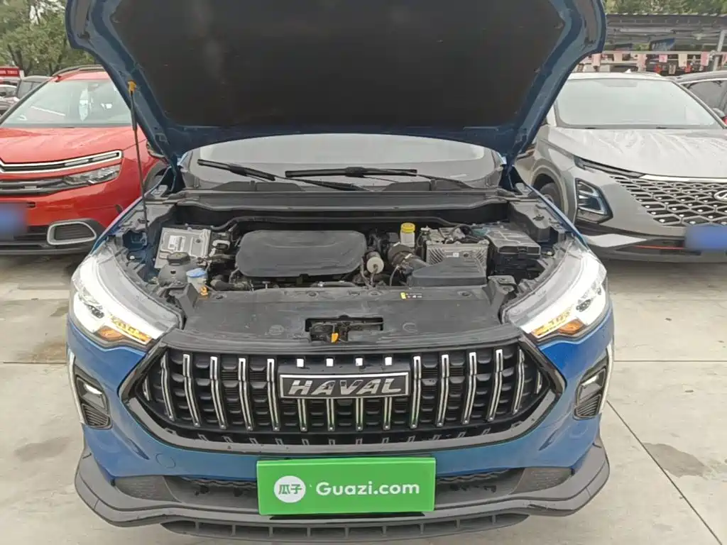 Haval Chitu 2022 2021 1.5T Silver Rabbit Turbo Edition