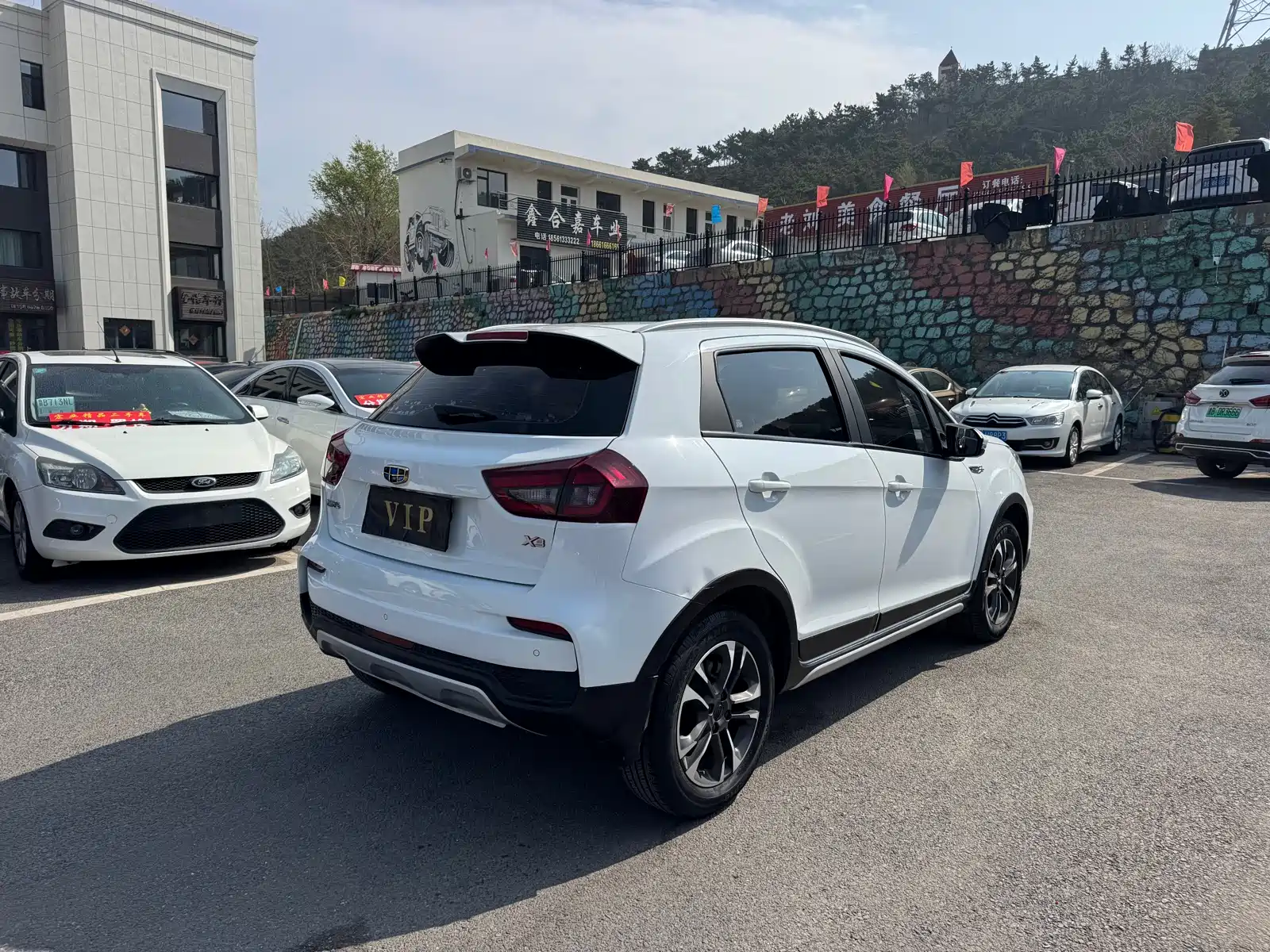 Фото 9 - Geely Vision X3