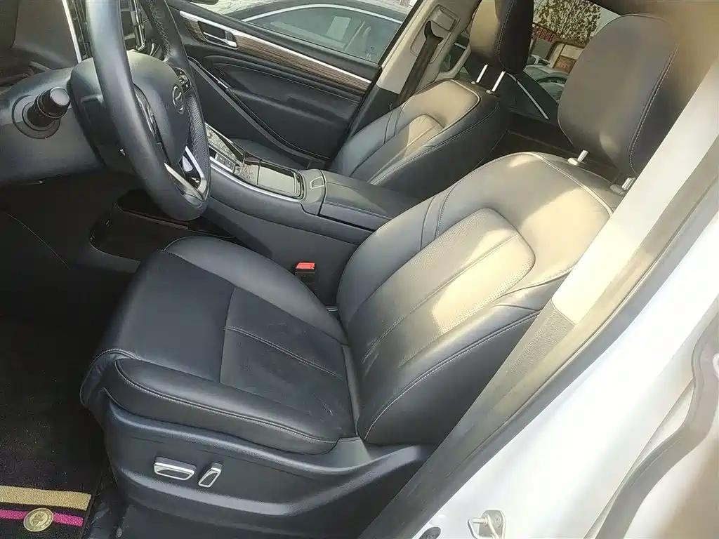 GAC Trumpchi Trumpchi M8 2021 Leading Show Series 390T Premium Edition фото 7