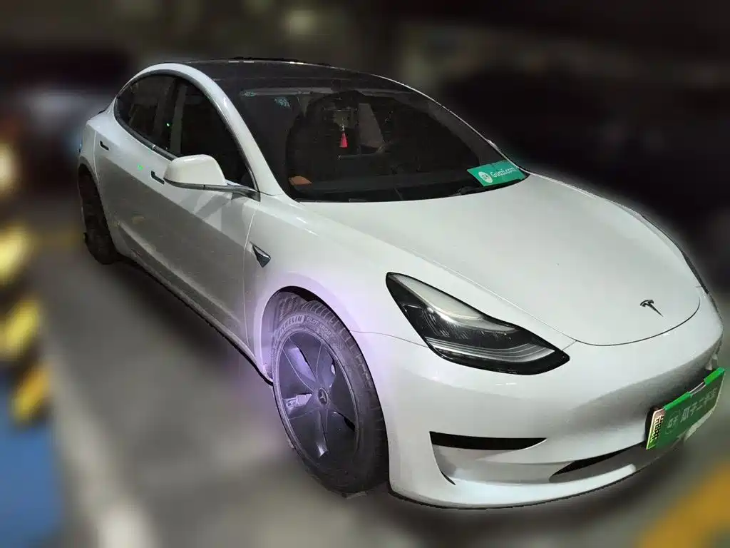 Tesla Model 3 2020 2020 Standard Range Rear-Wheel Drive Upgrade
