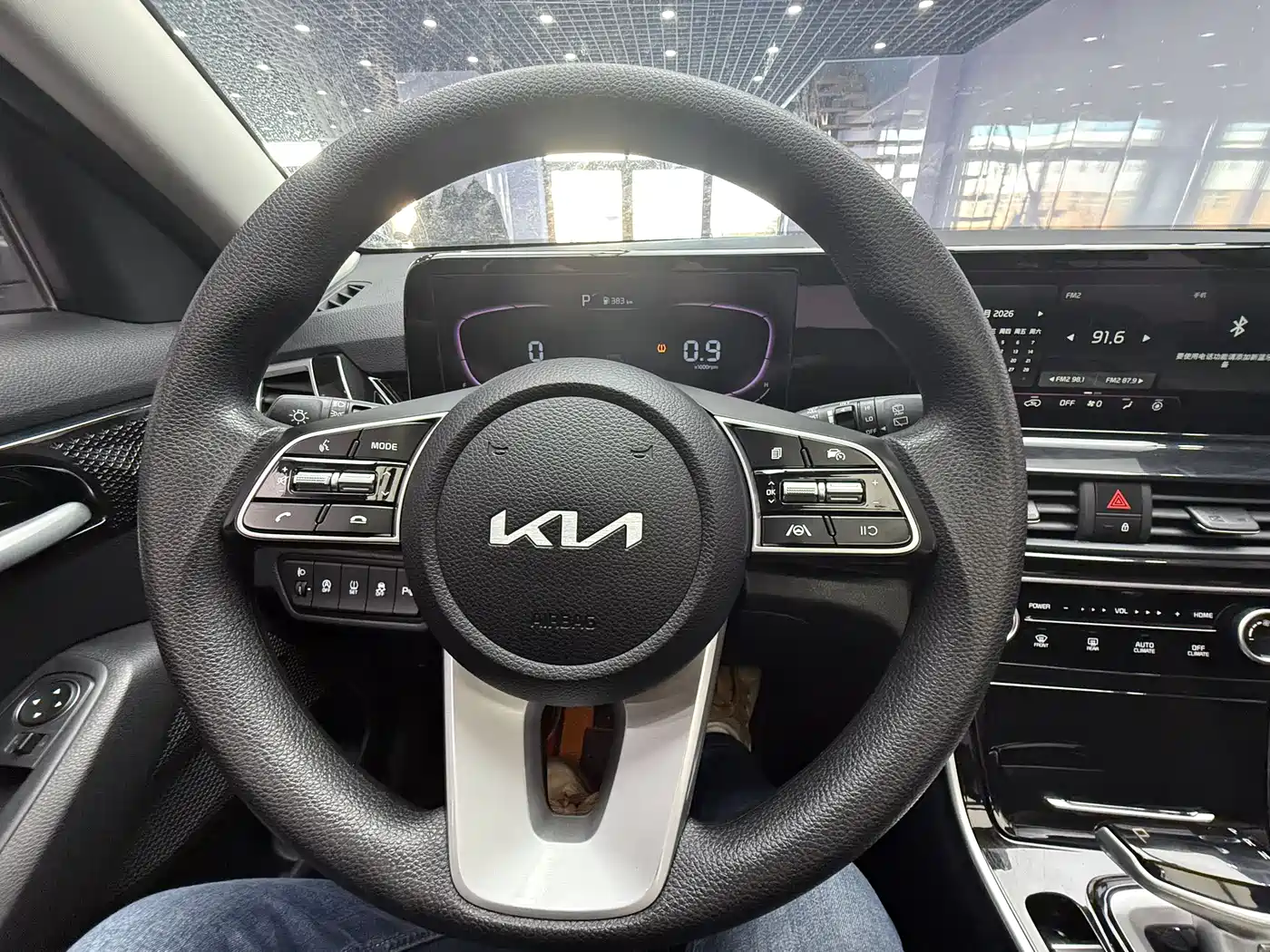 Kia Seltos 2023 1.5L CVT Luxury Edition фото 12