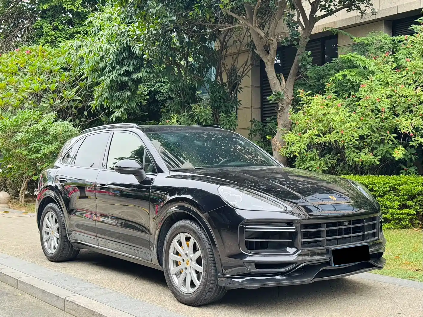 Porsche Cayenne 2018 Cayenne 3.0T фото 3