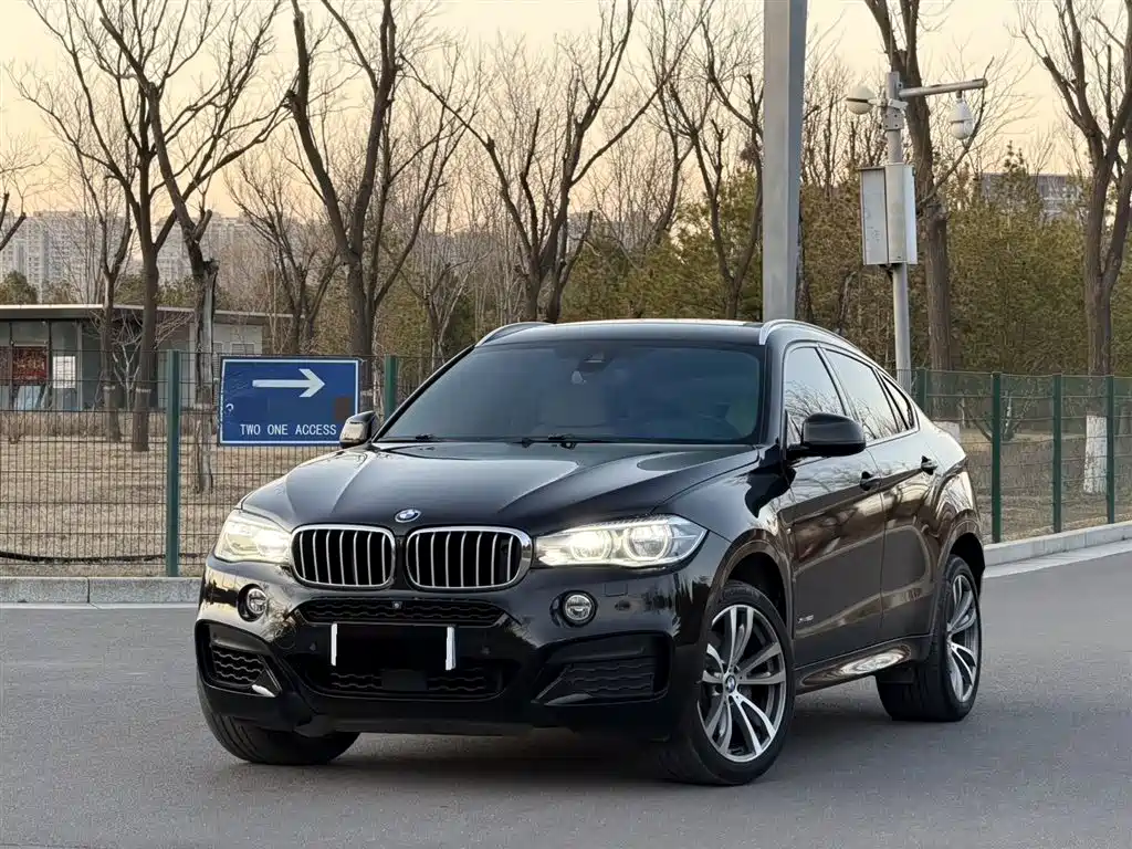 bmw x6