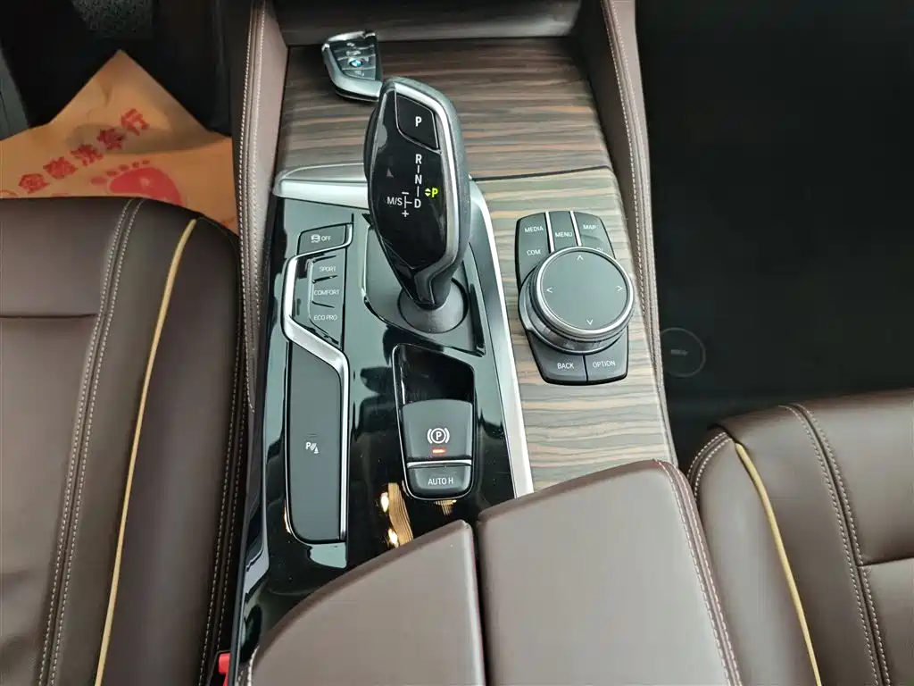 BMW 5 Series 2020 530Li Leading Luxury Package фото 6