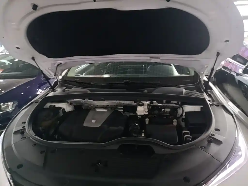 BYD Tang 2020 2019 2.0T Automatic Smart Connect Honor 7-seater China VI