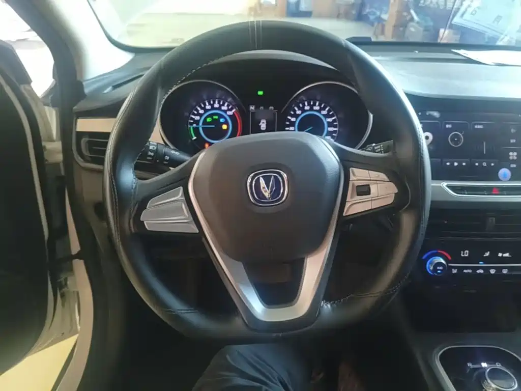 Changan Eado New Energy 2022 2022 EV460 Smart Ride-Hailing Edition (LFP)