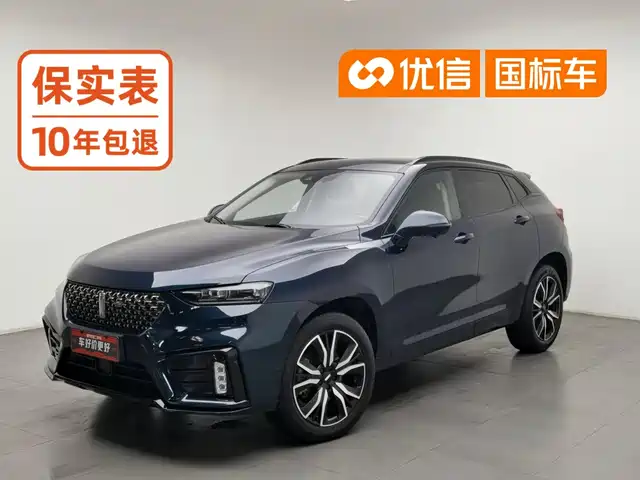  WEY Wey VV7 2021 Model 2.0T Technology Edition