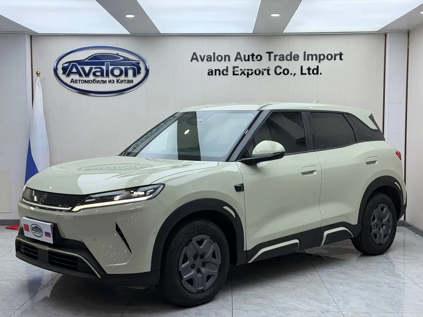 BYD Yuan UP 2025 2025 Smart Drive Edition 401KM Vitality Version