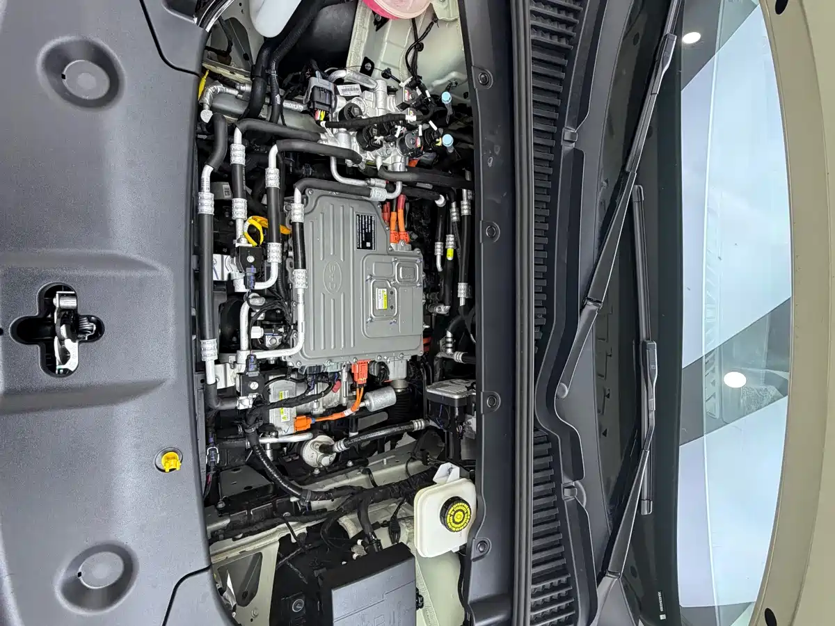 BYD Yuan UP 2025 2025 Smart Drive Edition 401KM Vitality Version