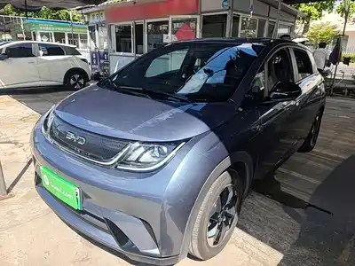 BYD Dolphin