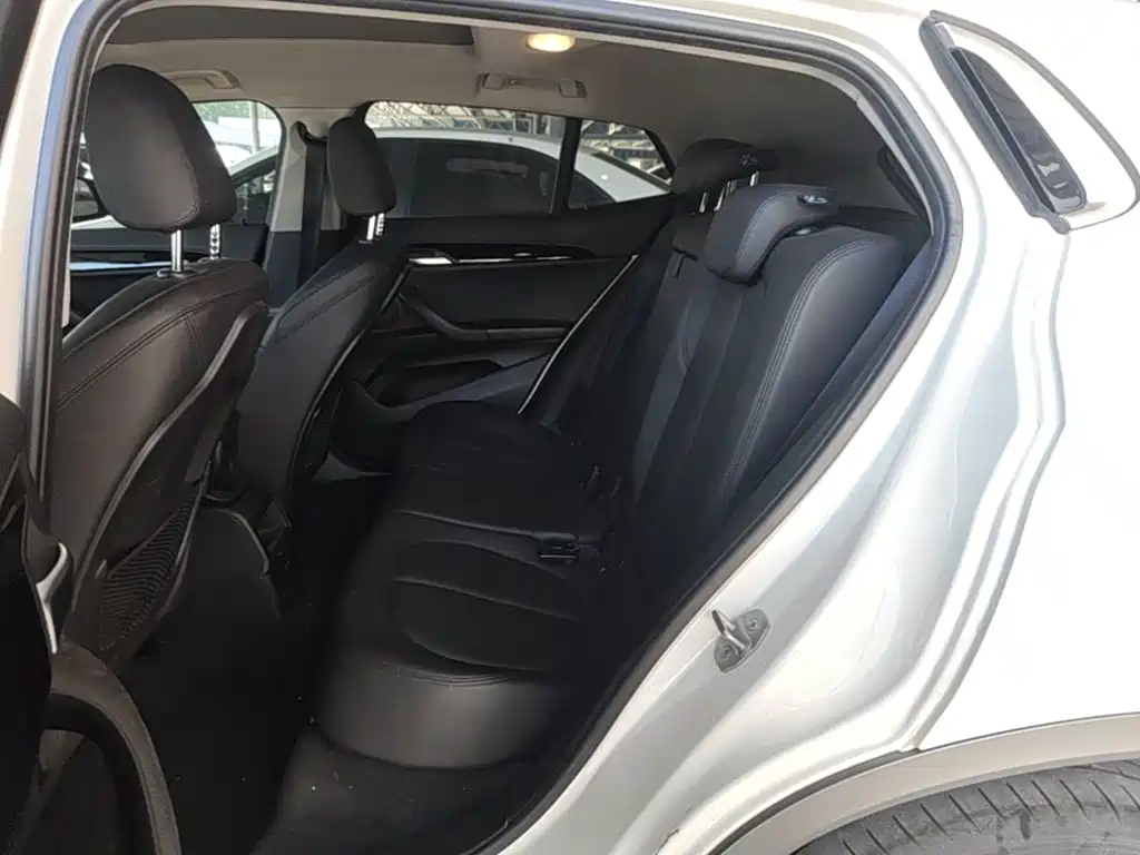 BMW X2 (Import) 2019 2019 sDrive20i M Off-Road Package China VI