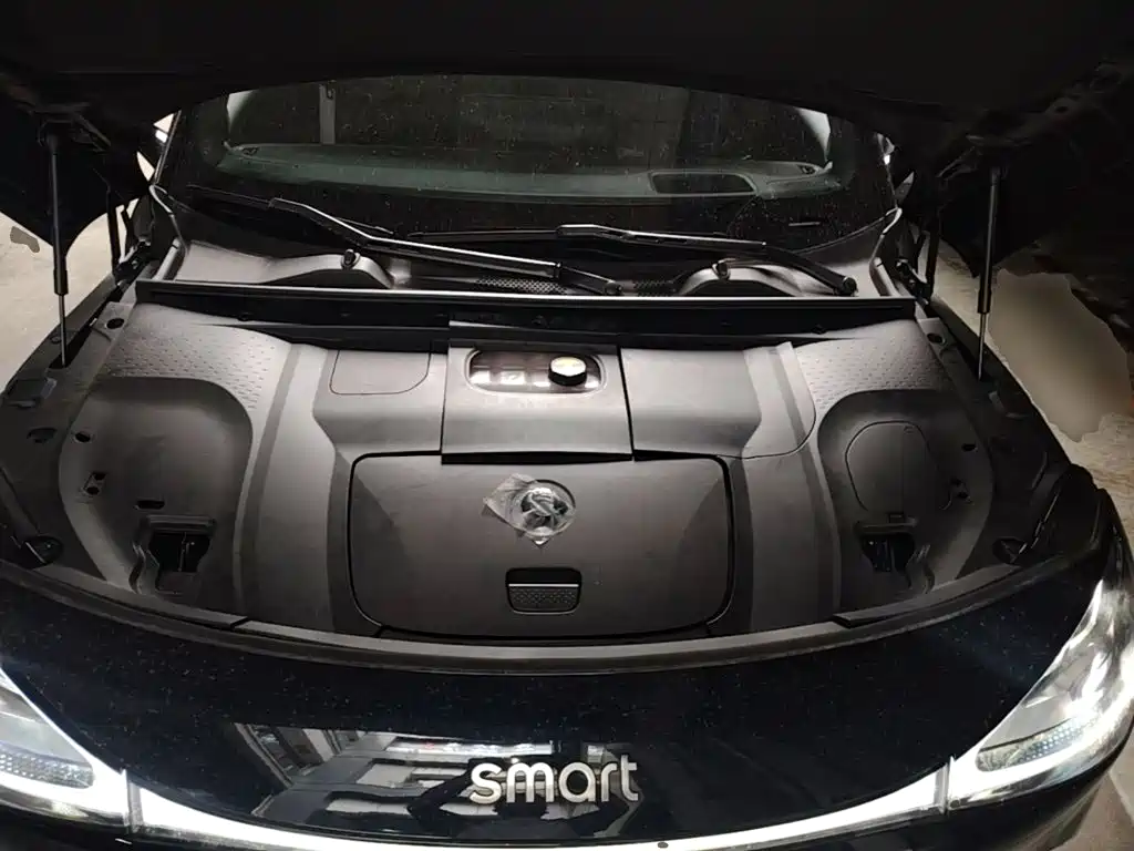 Photo 20 - smart Elf #1